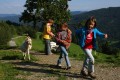 Ferie p bondegrden