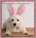 Osterhund