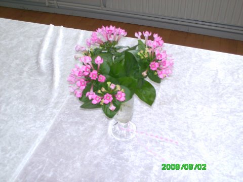 Blomsterne til bordene kom f�rst p� dagen efter
