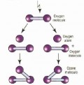 Ozonterapi