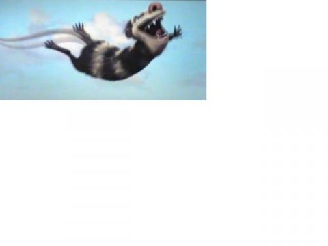 Crash