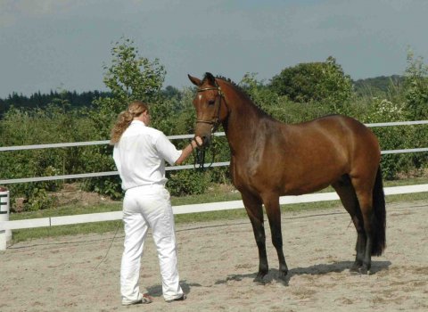 Rebecca til K�ring