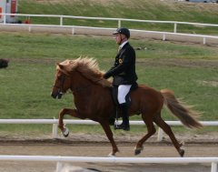 Kaspar fr Kommu, Landsmt '08