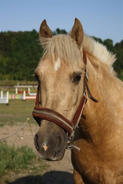 Mit liv - mit alting <3