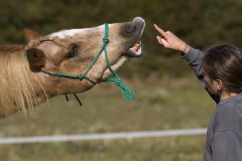 Smile. Trixtan smiler ;)