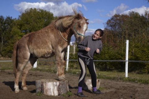 Ryste. Trixtan ryster på hovedet ;)