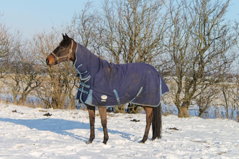 Liberty Liberty nyder den dejlige vintersol