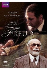 Freud region 1