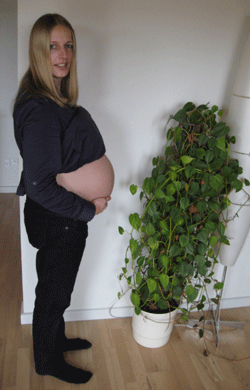 Gravid uge 38 Gravid uge 38