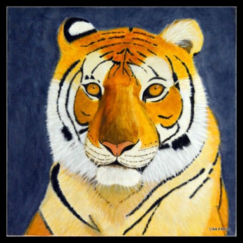 Tigeren