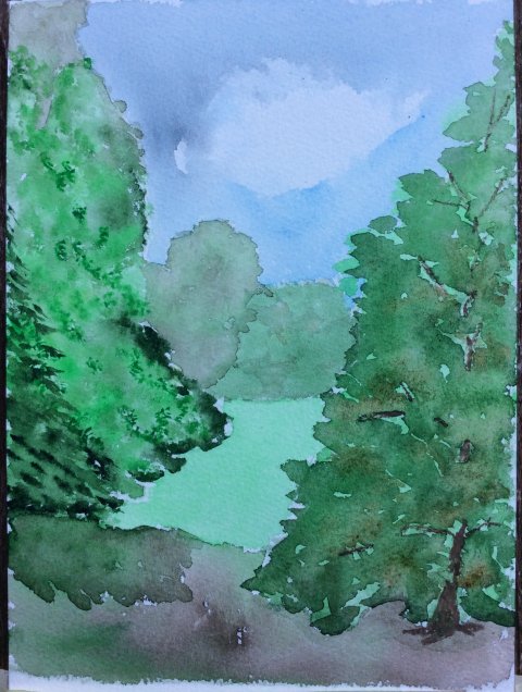 my garden
