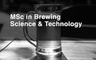 MSc in Brewing Scinse and techno