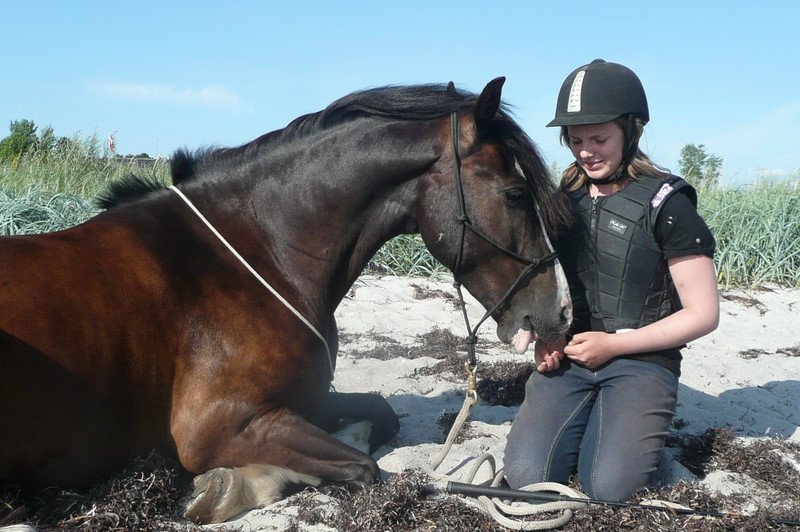 Min egen hest.