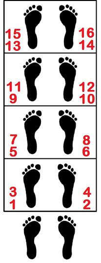 4-step