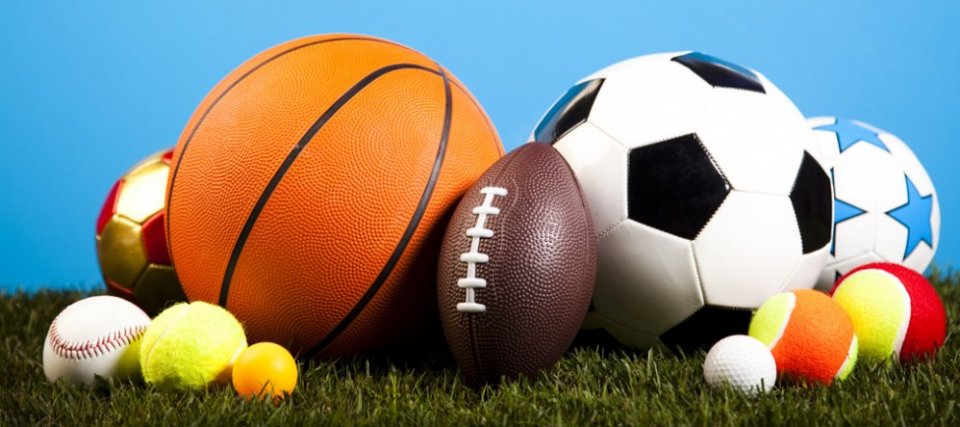 forskellige slags sports bolde