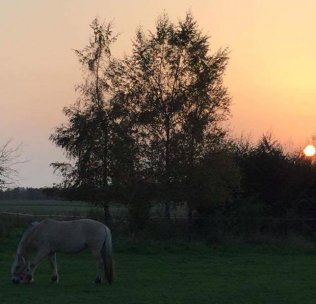 Dorella Fjordlyst okt 2017