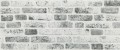 SNP651-227