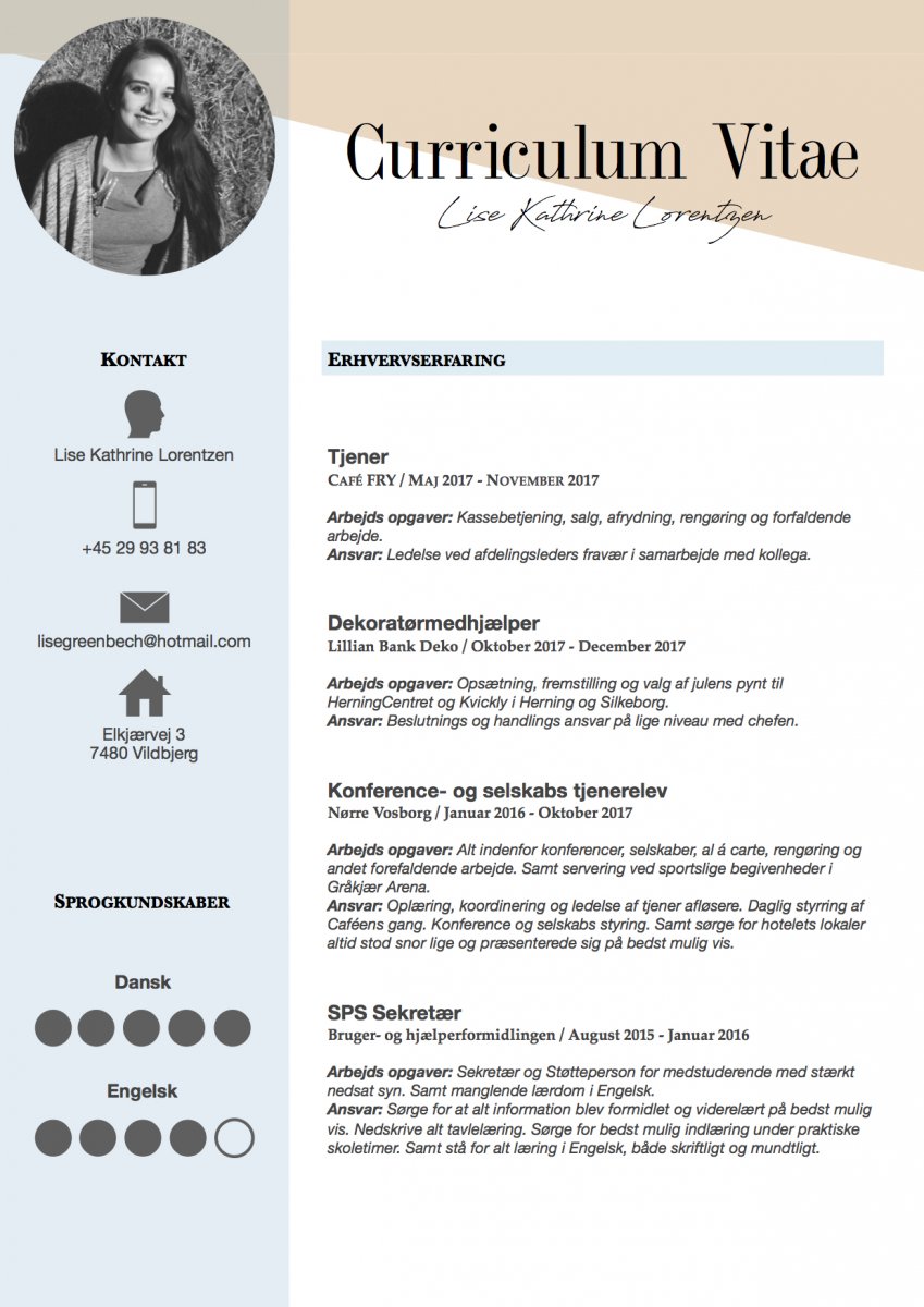 opsætning af cv opsætning af cv