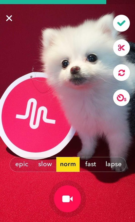 Musically on PC, Android, iOS, iPhone Free