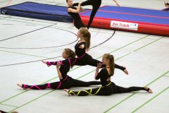 HGI opvisning 2014