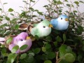 Bird on wire 7 cm, green, blue, pink