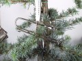 Trombone for hanging on the christmas tree, nickel shiny - on stock