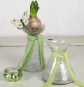 Hyacinth vase, 16,5x9 cm, clear glass