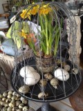 Fade & opsatse/Platten & Tafelaufstze/Plates and centerpiece