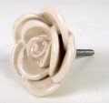 Knop rose, cream