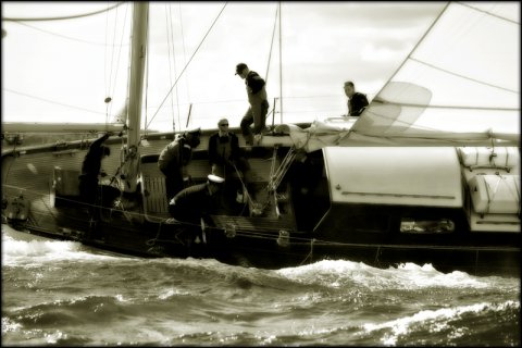 Frisk vind