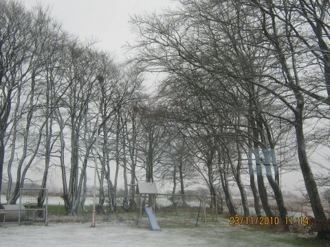 Vinter over Skovlund