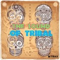 THE SOUND OF TRIBAL - DOWNLOAD