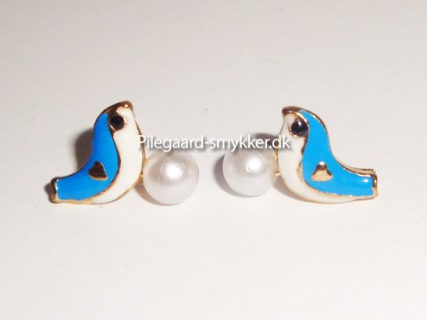 Blue bird