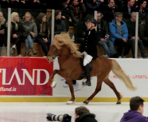 Jakob & Eldur f. Köldukinn