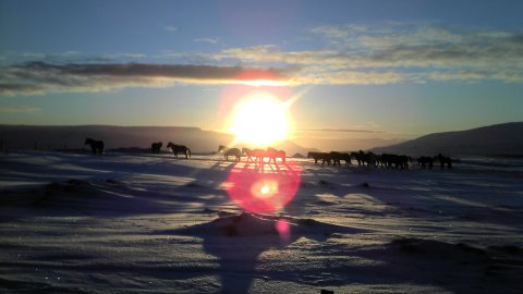 Winter in Steinsholt