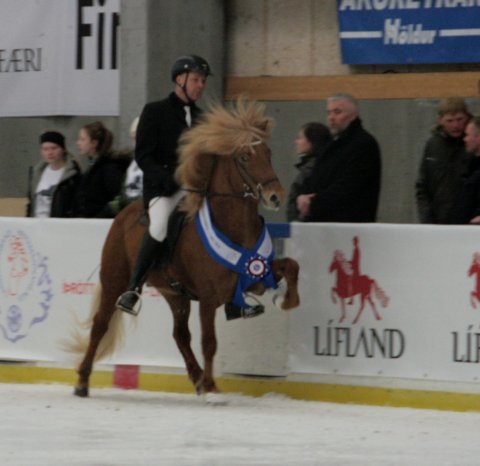 Jakob & Eldur f. Köldukinn