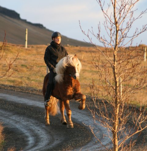 Straumur from Skrúð