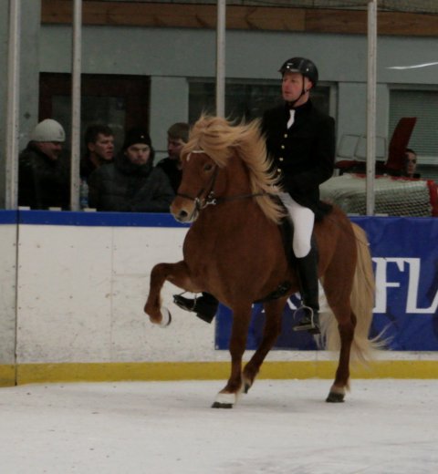 Jakob & Eldur f. Köldukinn