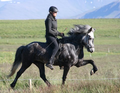 Gersemi og Torunn