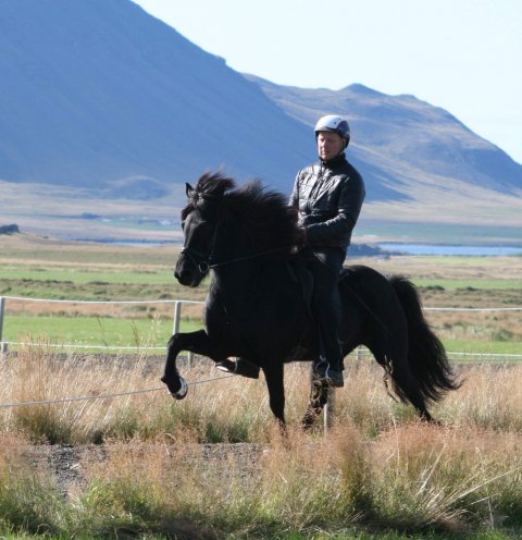 Þytur og Jakob