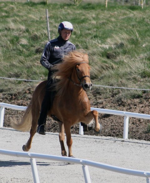 Plóma and Jakob