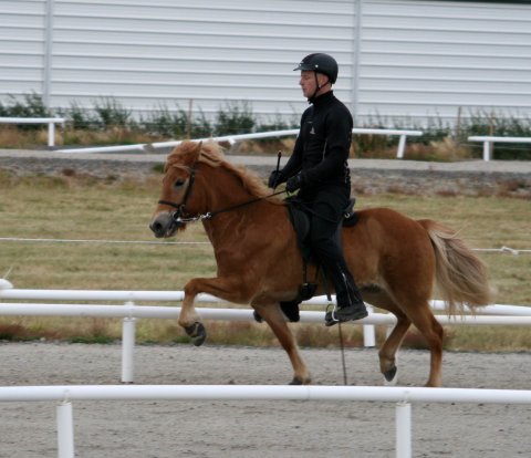 Plóma and Jakob