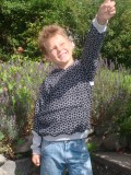 Bluser
