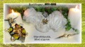 MC11 - b�rnek�der - skildpadde