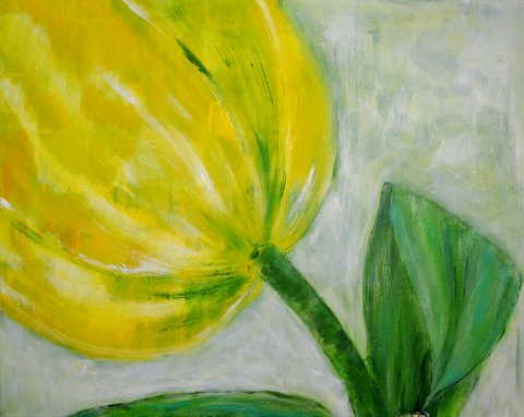 Gul tulipan