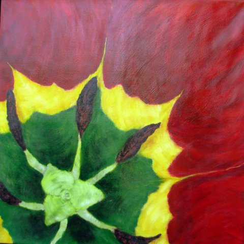 Tulip inside