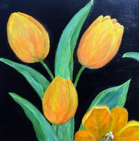 Orange tulipaner. Med sort ramme.