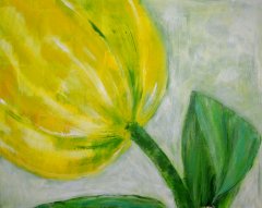 Gul tulipan