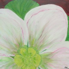 Lyser�d blomst 1. Med sort ramme.
