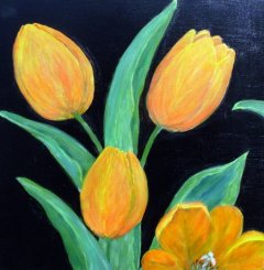 Orange tulipaner. Med sort ramme.